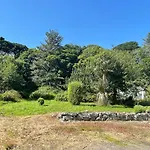 O\'Domhnaill\'S Guesthouse - Lig Do Scith